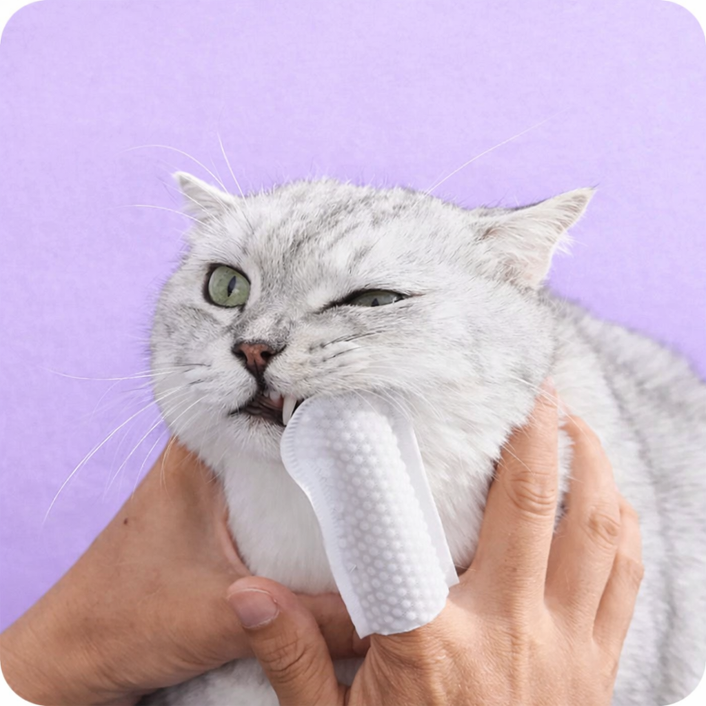 🦷 DentaPaw™ – Limpieza dental fácil, rápida y sin estrés (50pcs)