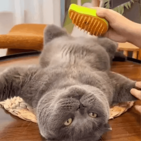 ✨SteamBrush™ – Cepillo vaporizador para perros y gatos