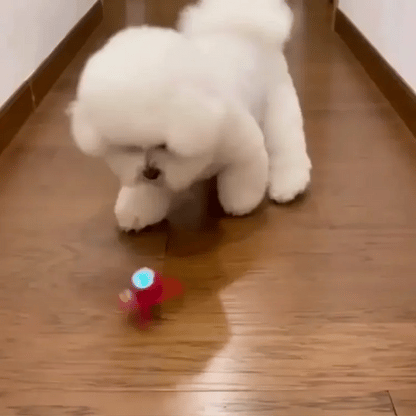 🪀ChaseBall® – Bola interactiva para perros y gatos