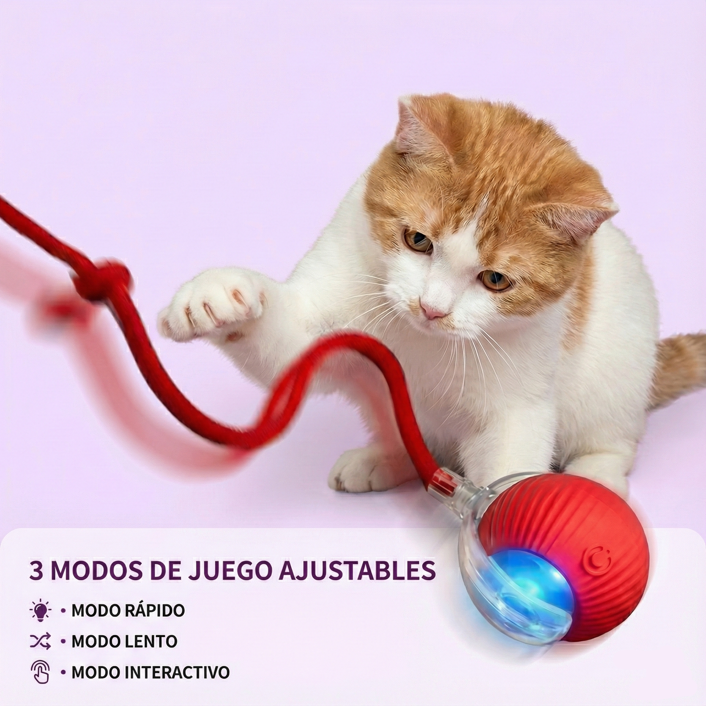 🪀ChaseBall® – Bola interactiva para perros y gatos