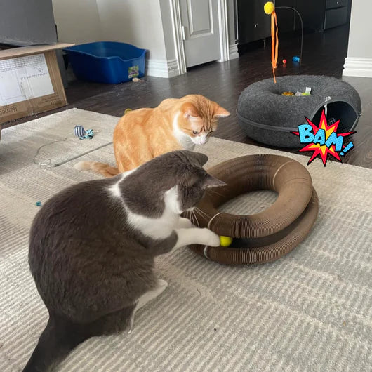 🐾ScratchPlay™ – Rascador Interactivo 360° para Gatos