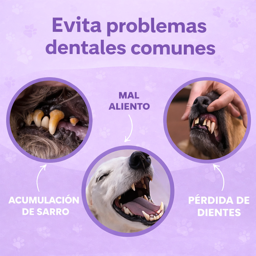 🦷 DentaPaw™ – Limpieza dental fácil, rápida y sin estrés (50pcs)
