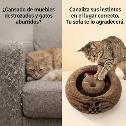 🐾ScratchPlay™ – Rascador Interactivo 360° para Gatos