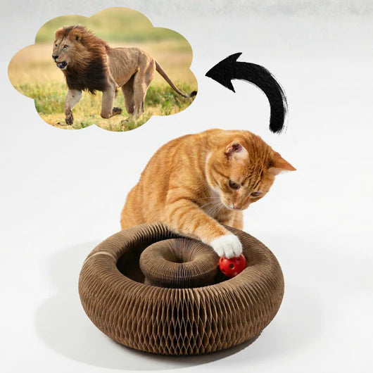 🐾ScratchPlay™ – Rascador Interactivo 360° para Gatos