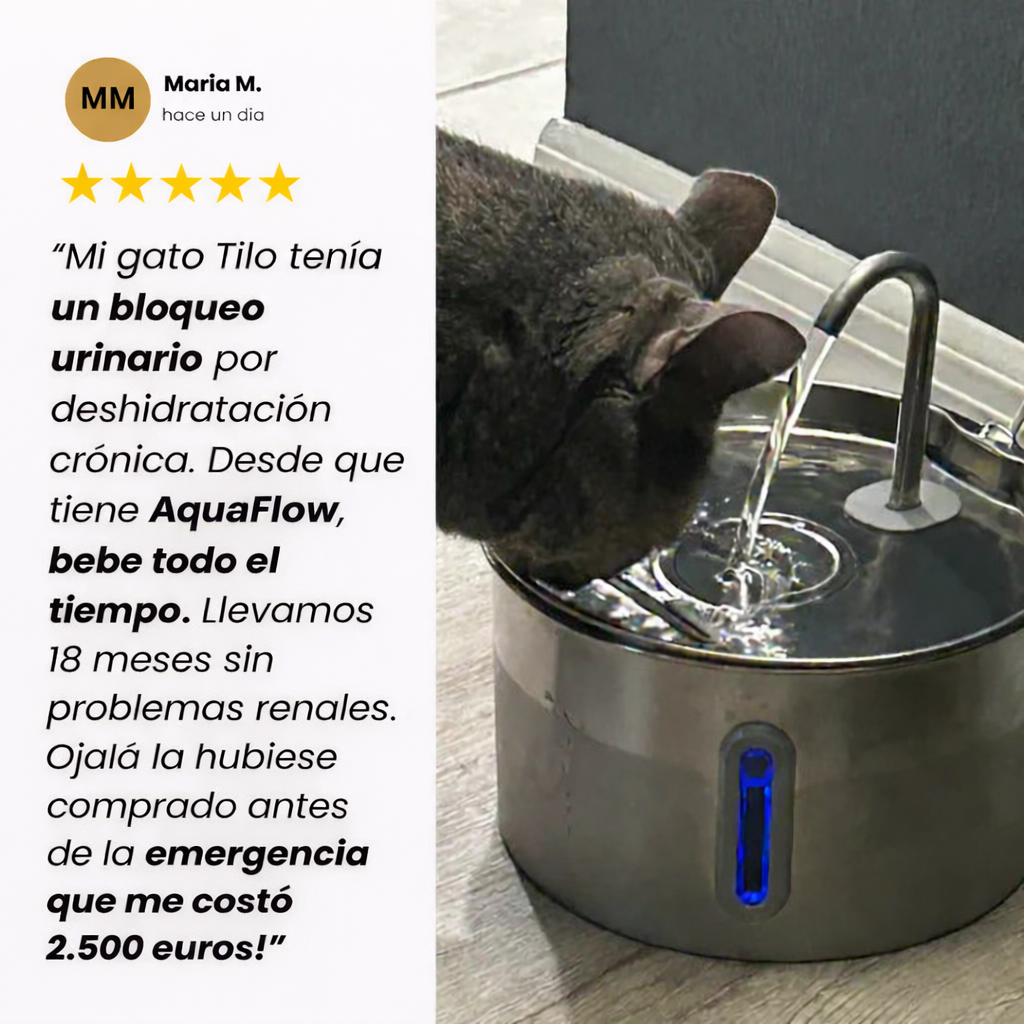 💧AquaFlow™ – Fuente Inteligente para Gatos
