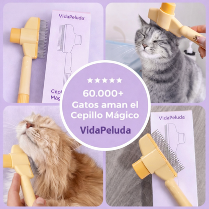 ✨Cepillo Mágico VidaPeluda