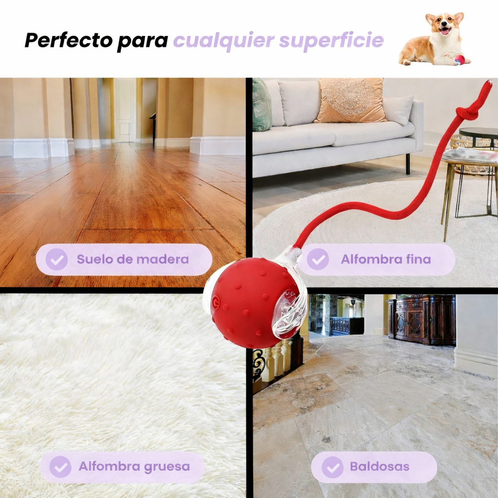 🪀ChaseBall® – Bola interactiva para perros y gatos