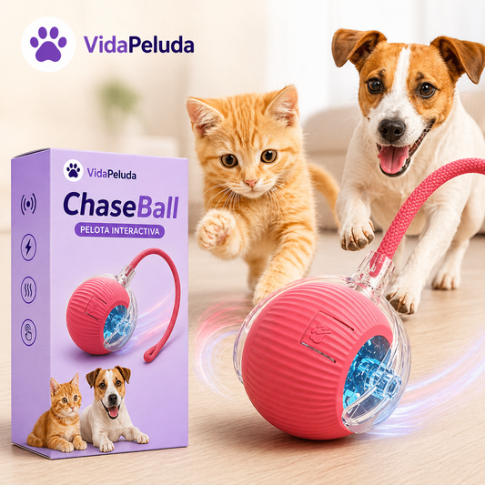 🪀ChaseBall® – Bola interactiva para perros y gatos