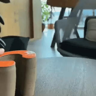 🐾ScratchPlay™ – Rascador Interactivo 360° para Gatos