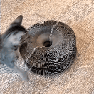 🐾ScratchPlay™ – Rascador Interactivo 360° para Gatos