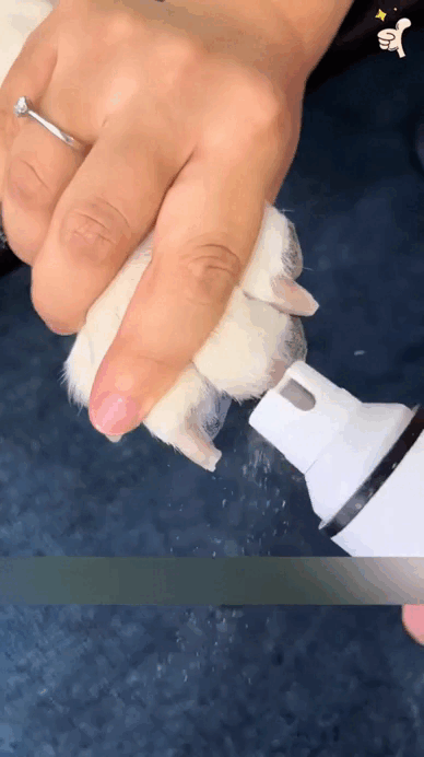 🐾NailCare Pro™ – Lima eléctrica segura para perros y gatos