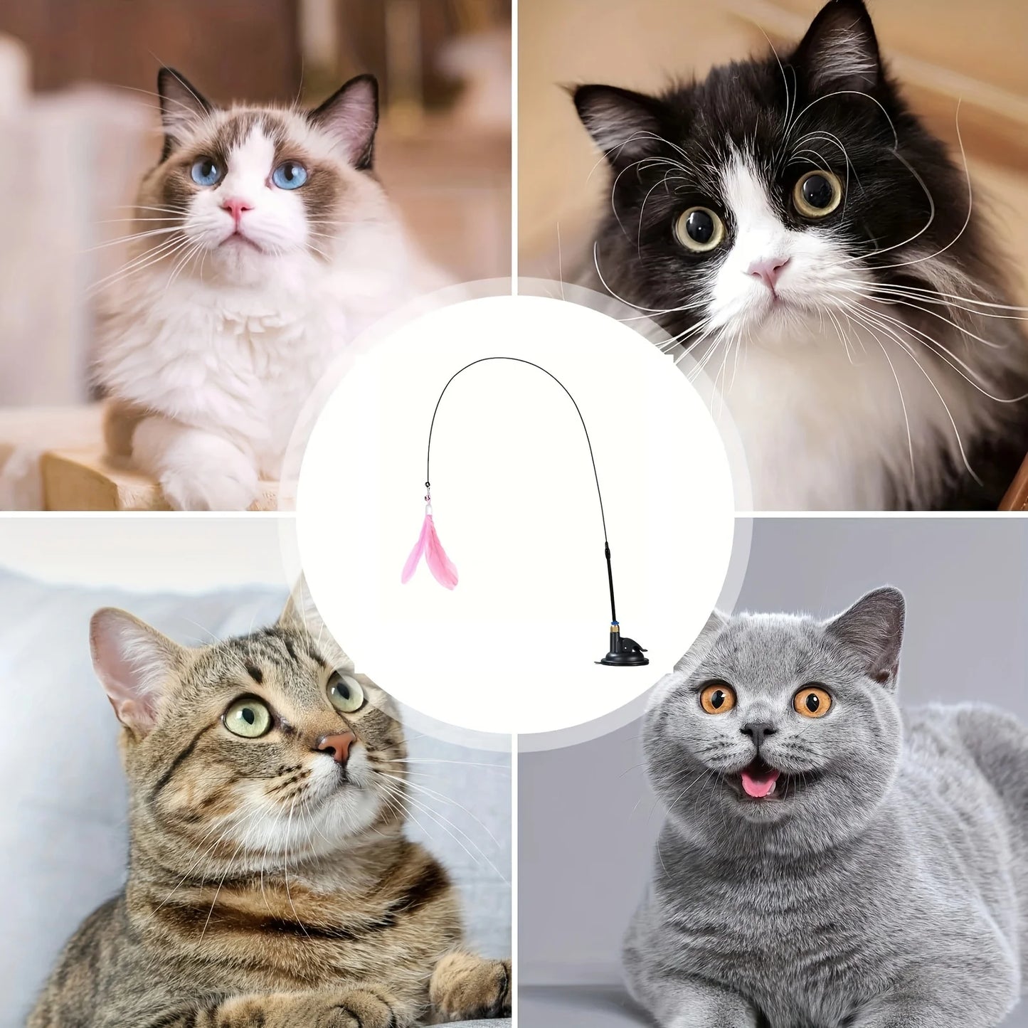 🐾 FunStick Pro® – Juguete interactivo con ventosa para gatos