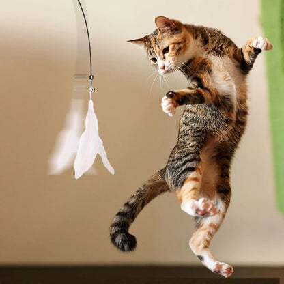 🐾 FunStick Pro® – Juguete interactivo con ventosa para gatos