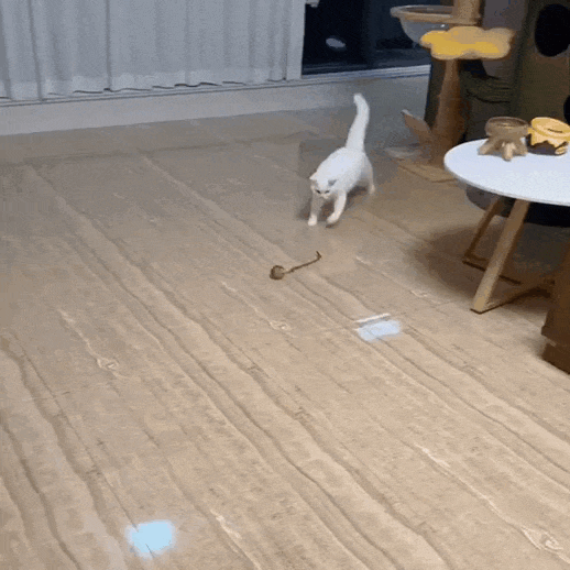 🪀ChaseBall® – Bola interactiva para perros y gatos