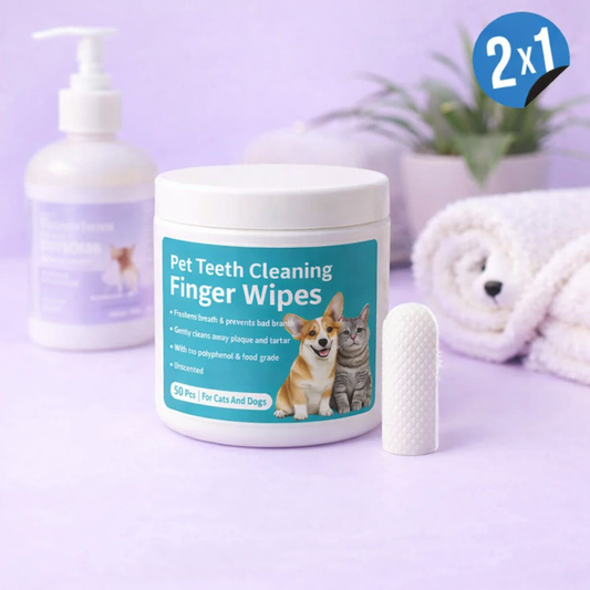 🦷 DentaPaw™ – Limpieza dental fácil, rápida y sin estrés (50pcs)