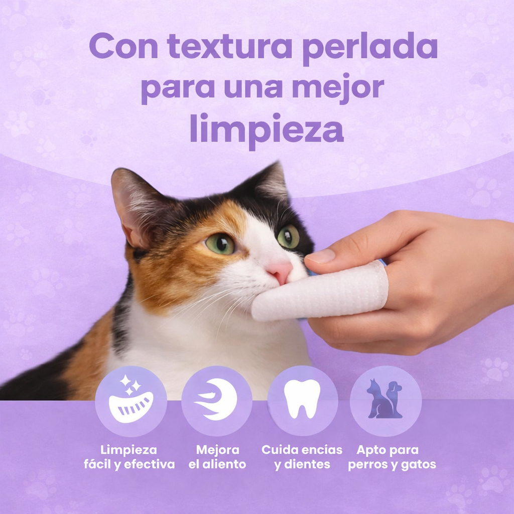 🦷 DentaPaw™ – Limpieza dental fácil, rápida y sin estrés (50pcs)