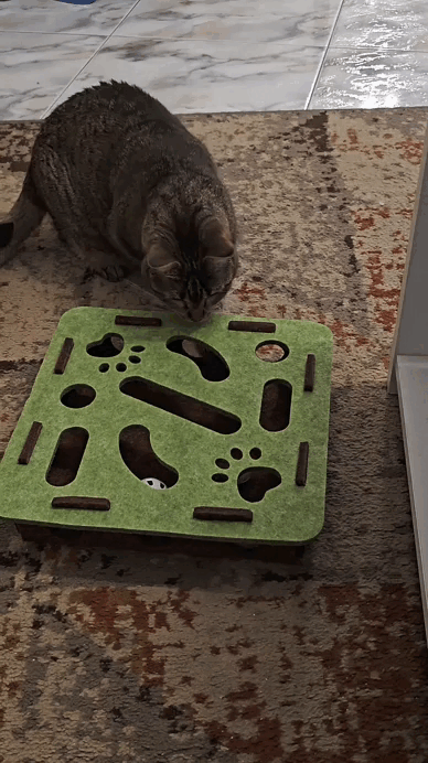 🎯HuntBox® – Caja interactiva de caza